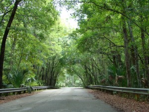 Town of Orange Park, in Florida