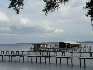 Dock in  Fleming Island Florida