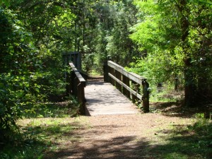 Ronnie Van Zant Park in Lake Asbury, Green Cove Springs Florida