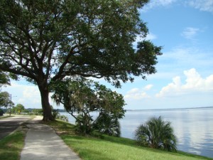 River road by the St Johns River in Orange Park Florida