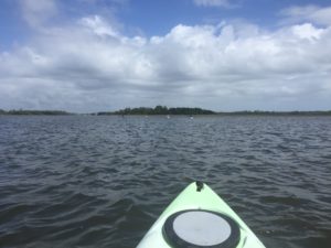 We kayaked on the Intracoastal Waterway by the Palm Valley Bridge