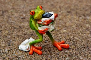 Cute frog trying to juggle everything without dropping anything