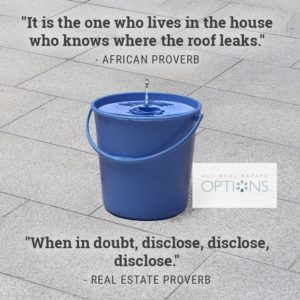 It is the one who lives in the house who knows where the roof leaks. When in doubt, disclose, disclose, disclose