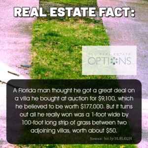 Real Estate fact: A florida man thought he got a great deal on a villa he bought at auction for $9,100, which he believed to be worth $177,000. It turns out all he really won was a 1 foot wide by 100 foot long strip of grass between two adjoining villas, worht about $50.