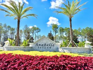Anabelle Island in the Lake Asbury area of Green Cove Springs