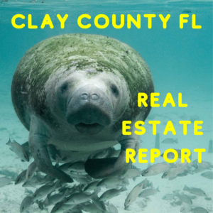 C;lay County Real Estate Report