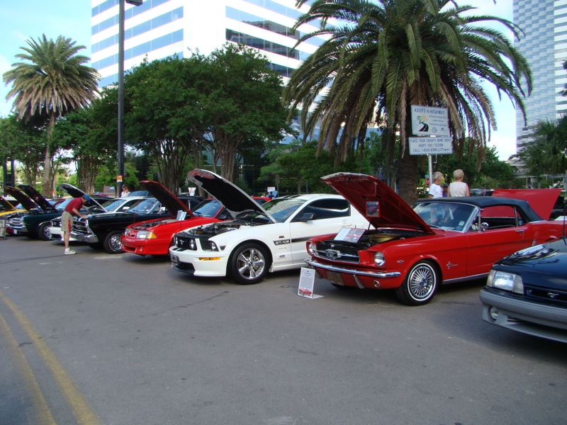 Mustang Car Show Downtown Jacksonville Florida Northeast Florida Life