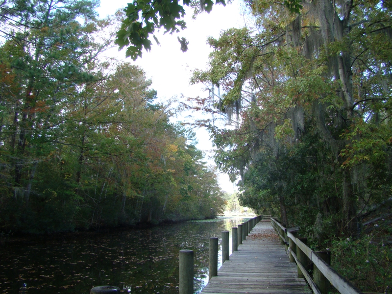 Trout Creek Park in St Augustine Florida | Northeast Florida Life
