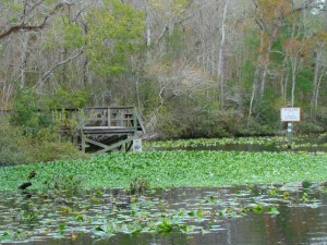 Dock at Black Creek Middleburg, Florida