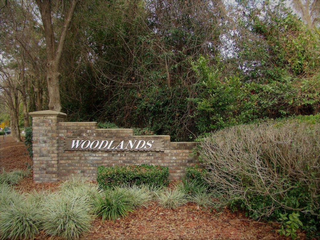 Homes for Sale in the The Woodlands Neighborhood Orange Park, Fl