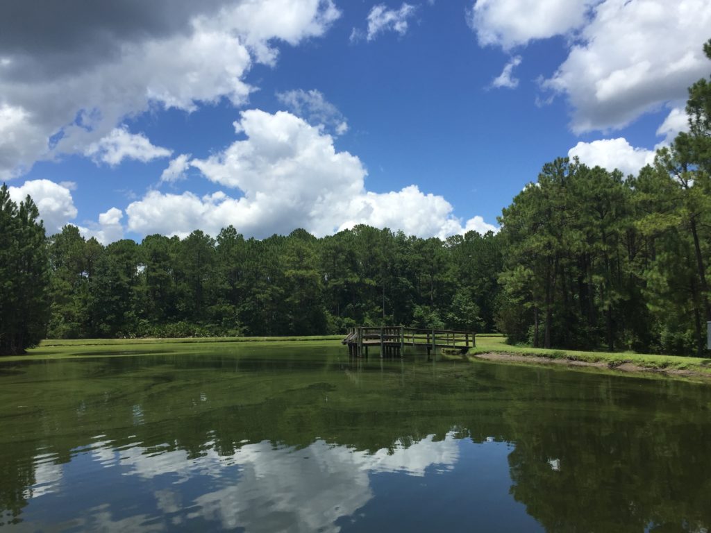 Clay County Fl Real Estate Market Report November 2018 Northeast