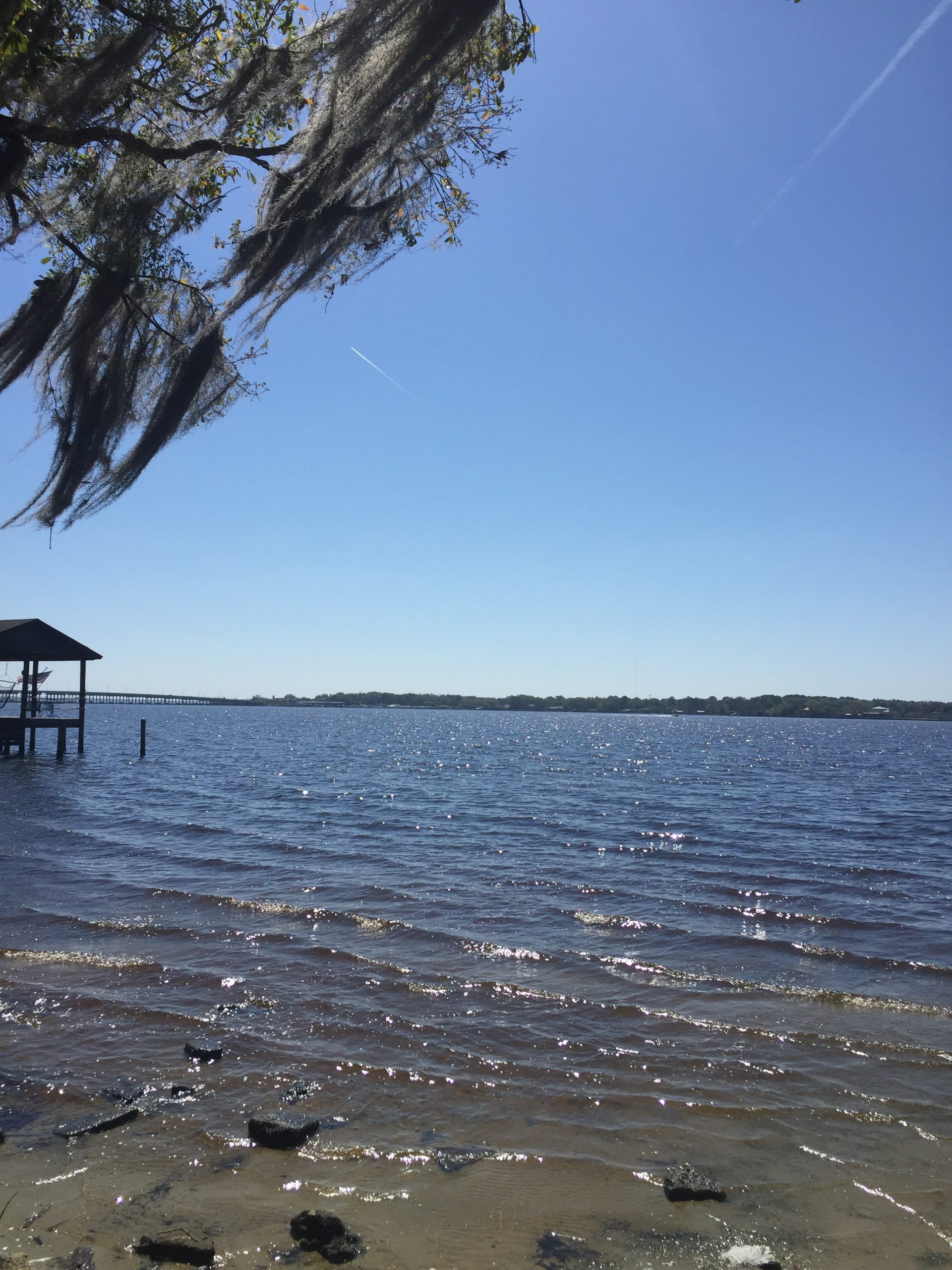 Clay County Fl Real Estate Market Report January 2020 Northeast