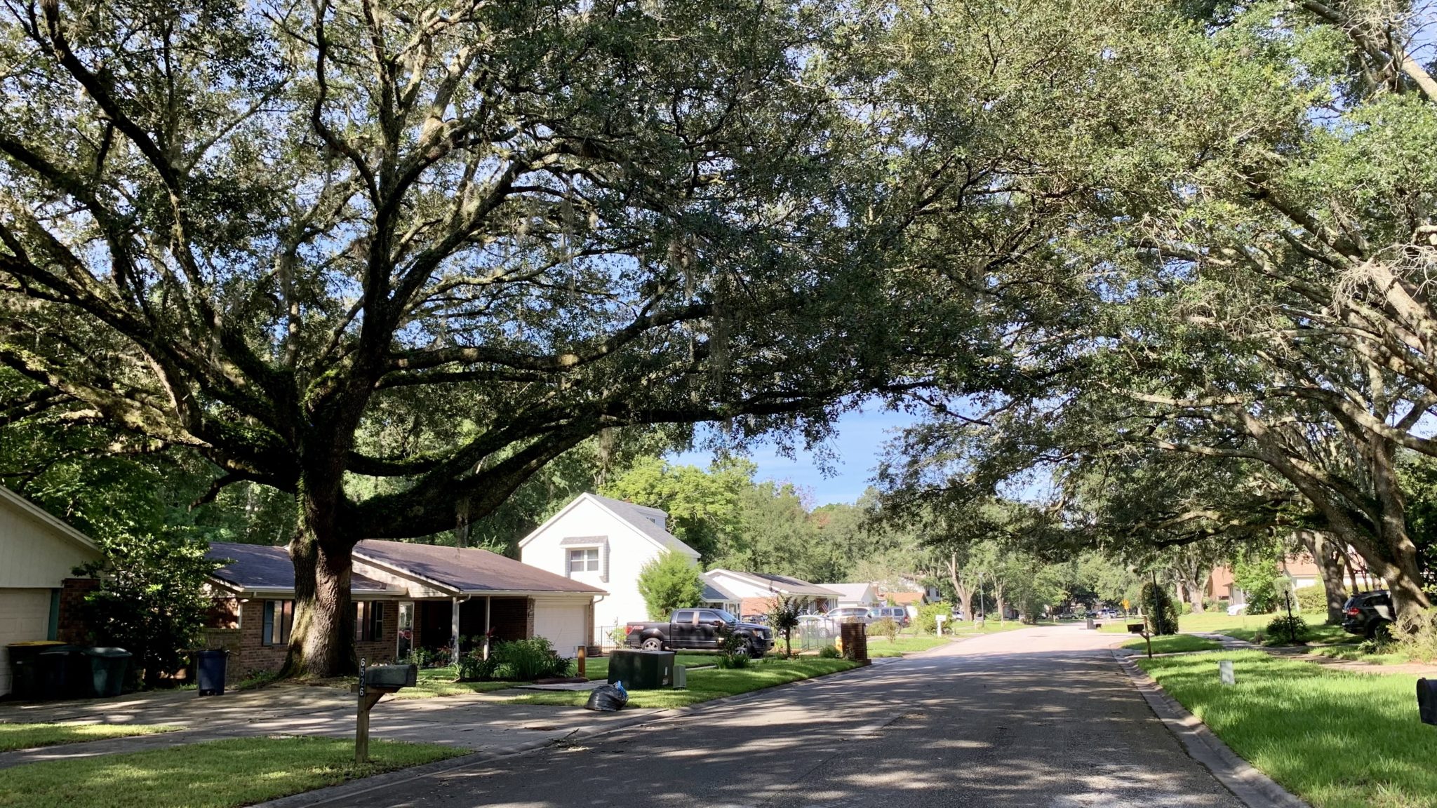 Living in Jacksonville FL Argyle Forest East Village Northeast