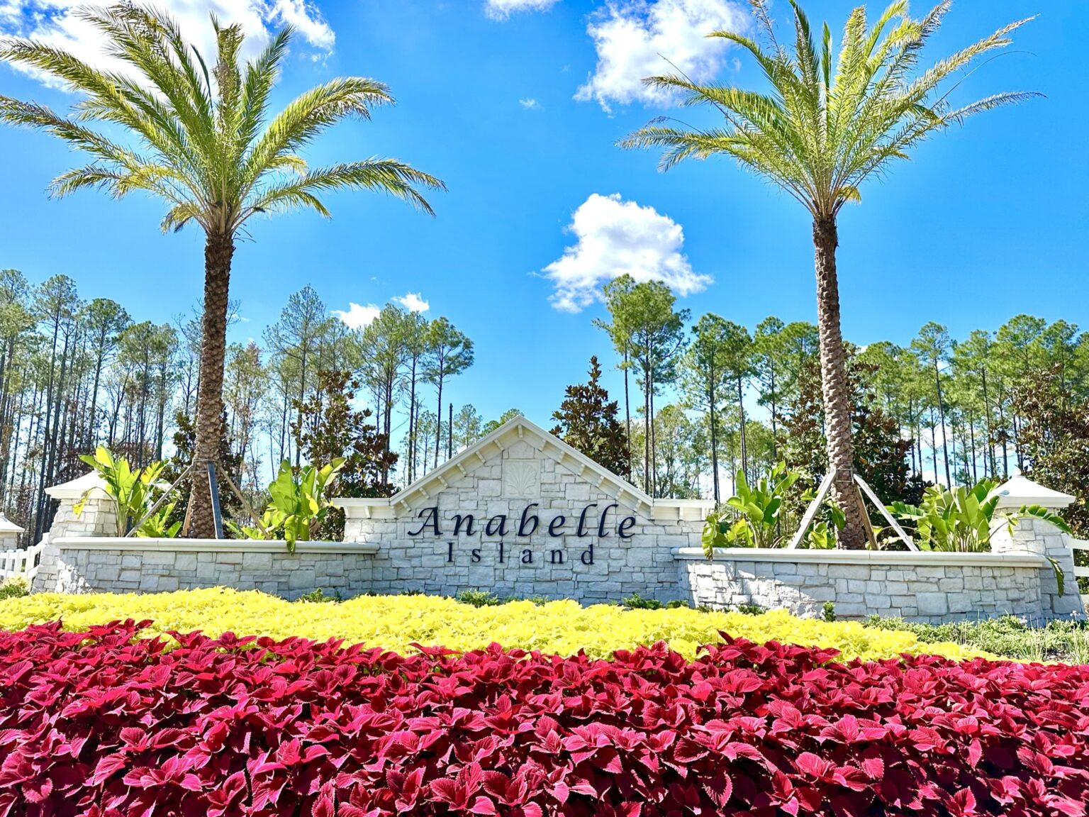 New Homes! Anabelle Island in Green Cove Springs | Northeast Florida Life