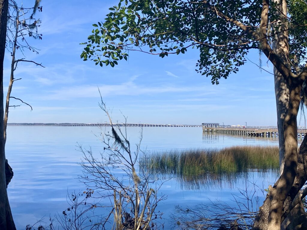 St Johns River View from Walter Jones Park