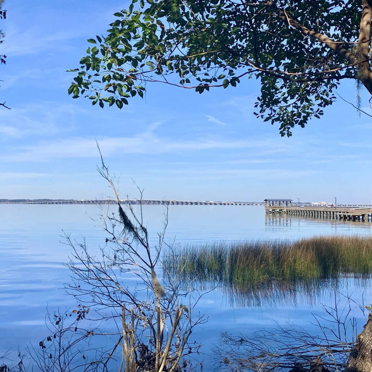 St Johns River View from Walter Jones Park